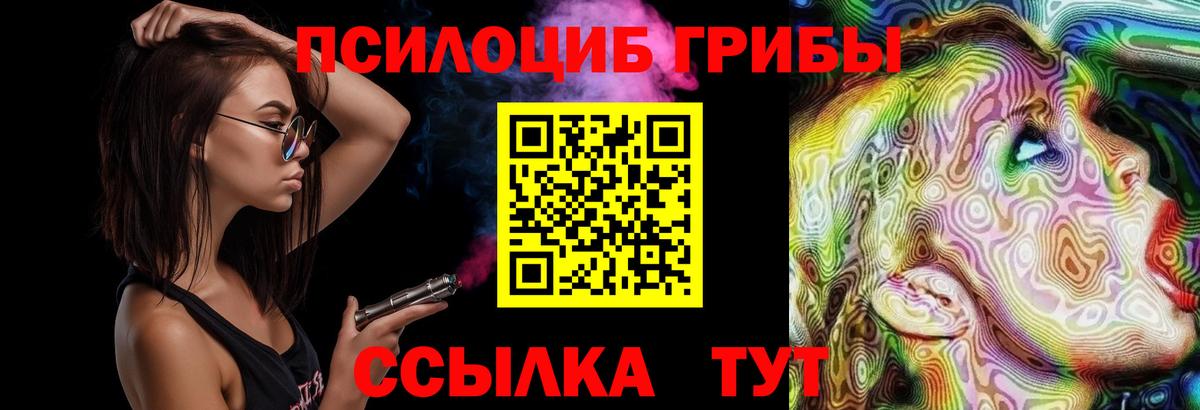 наркота  Галлюциногенные грибы Psilocybe  Вход с VPN  Новокубанск  Псилоцибиновые грибы Psilocybine cubensis 